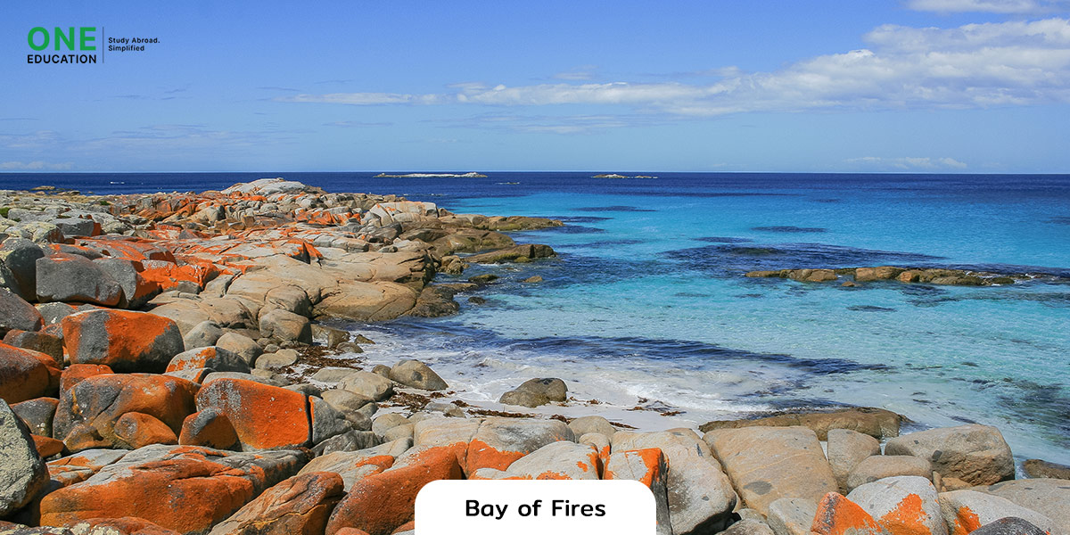 สถานที่ท่องเที่ยวในทัสมาเนีย Bay of Fires